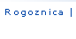 Rogoznica